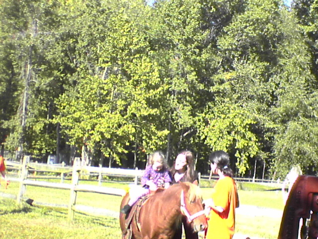 DSC03286