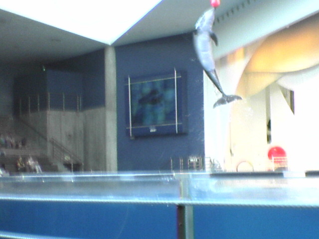 DSC03200