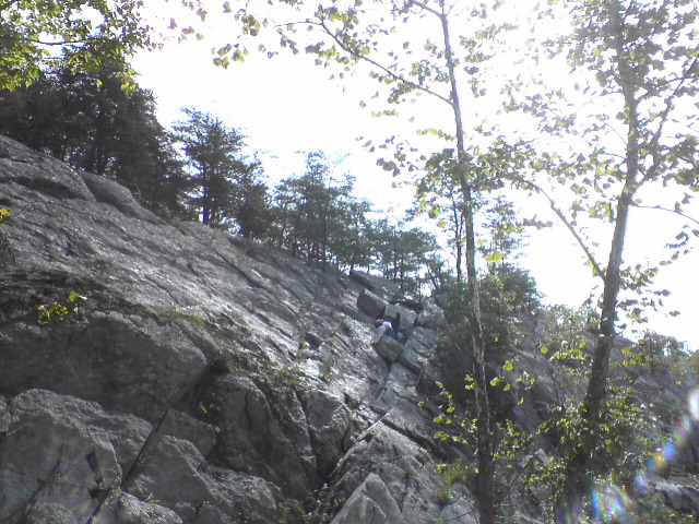 DSC03253