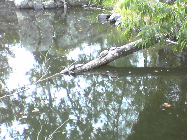 DSC03259