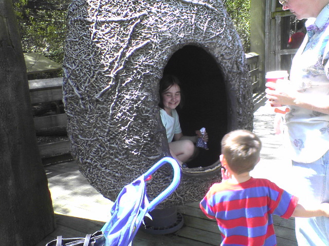 Nesting
