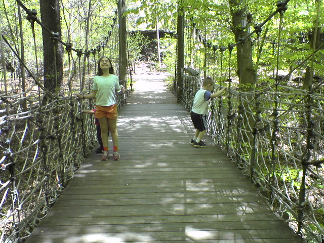 Rope Bridge