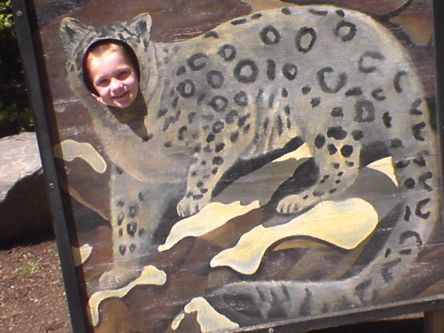 Leopard?