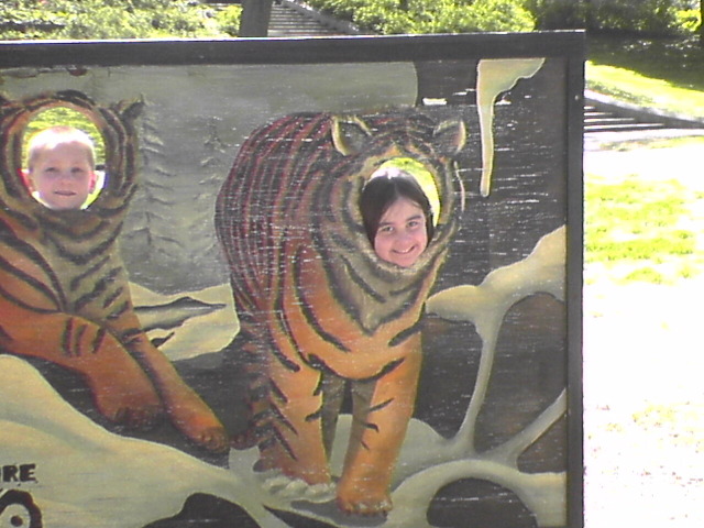 Tigers