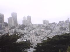 View from Coit Town