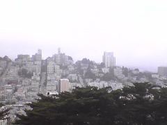 View from Coit Town