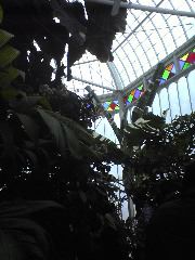 Inside Conservatory