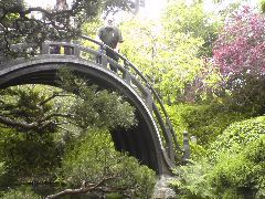 Japenese Tea Garden