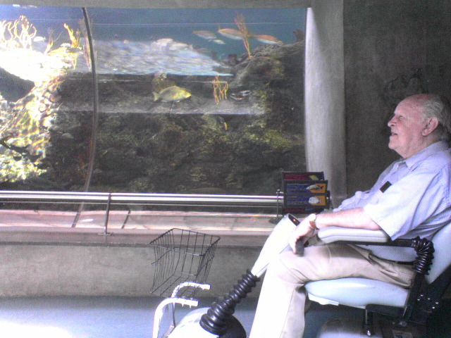 Dad at Aquarium
