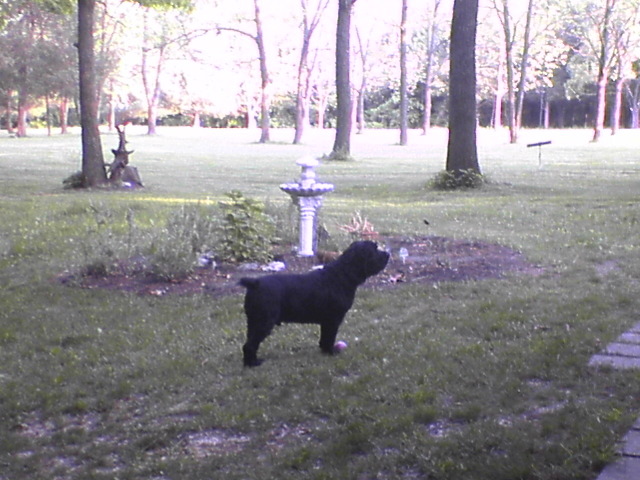 DSC00635.JPG