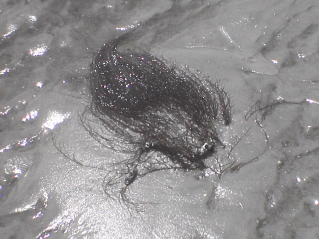 DSC01872.JPG