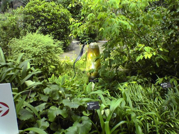 glass-garden39