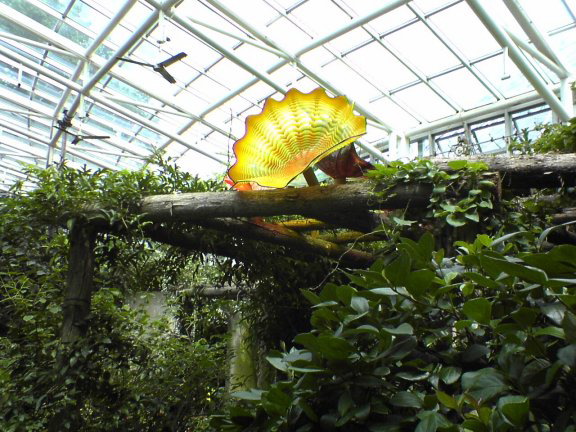glass-garden38