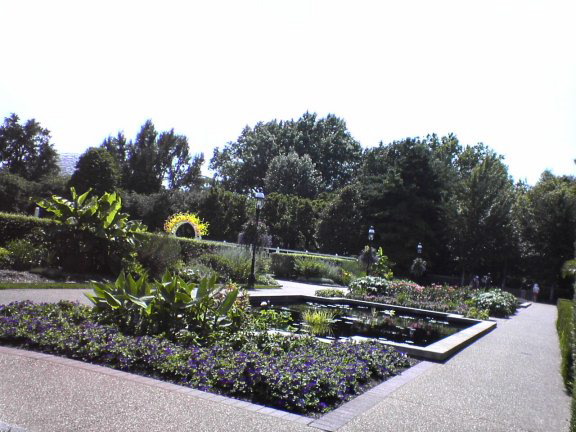 garden-pond