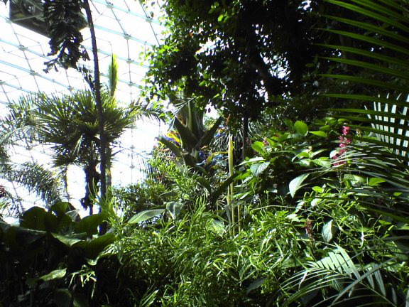 glass-garden3