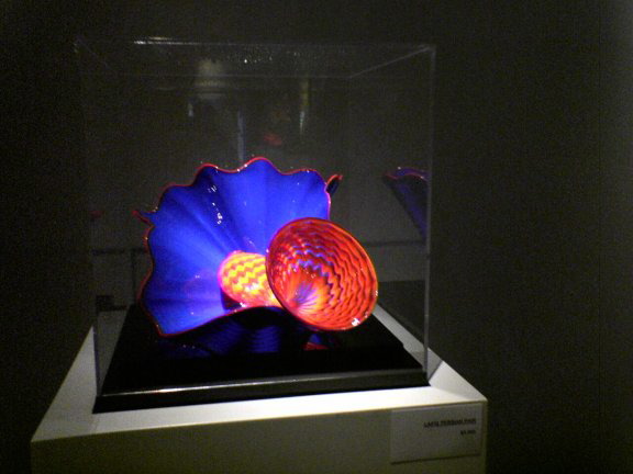glass-display2