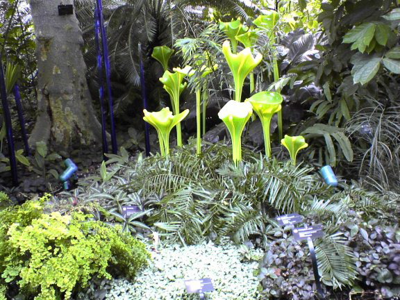 glass-garden21