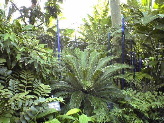 glass-garden20
