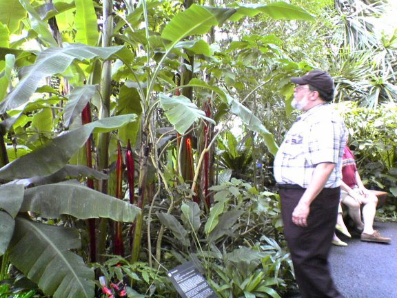Race-glass-garden