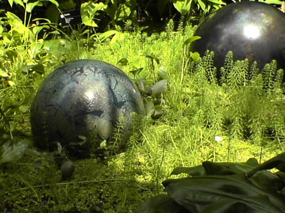 glass-garden13