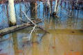 Untitled 5